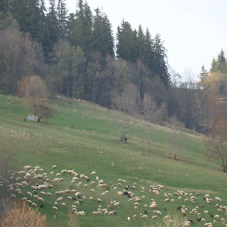 Σπίτι διακοπών D.w Teresa *