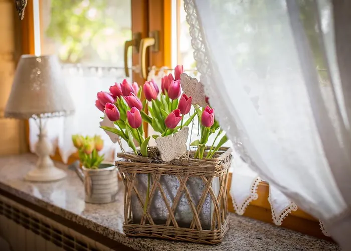 Nyaraló D.w Teresa *