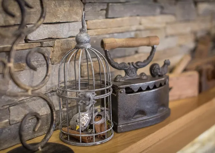 D.w Teresa Nyaraló *