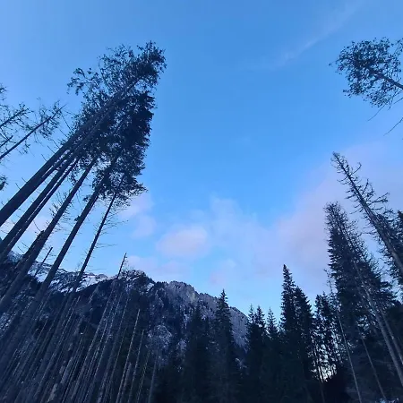 D.w Teresa * Zakopane