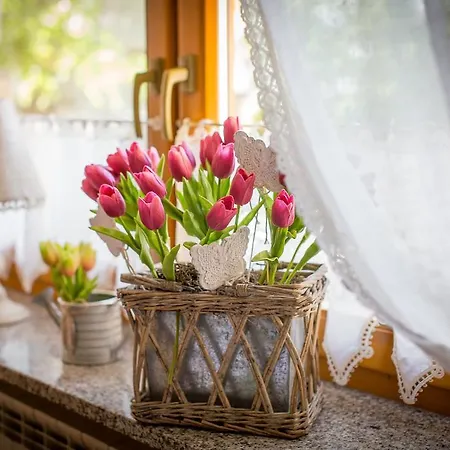 Semesterbostad D.w Teresa *