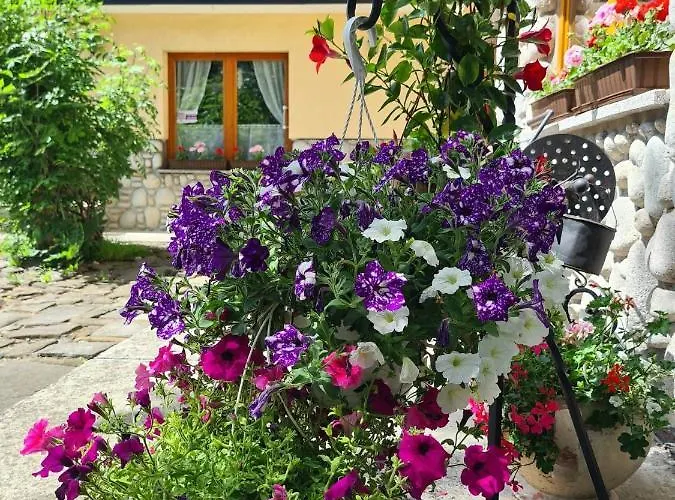 Holiday home D.w Teresa