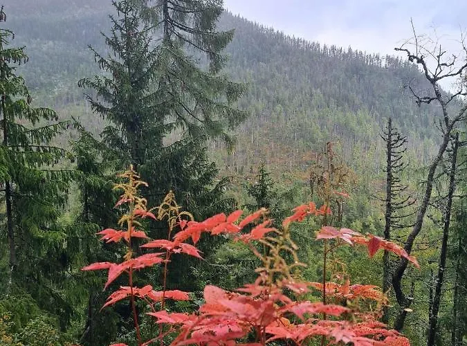 Сasa de vacaciones D.w Teresa