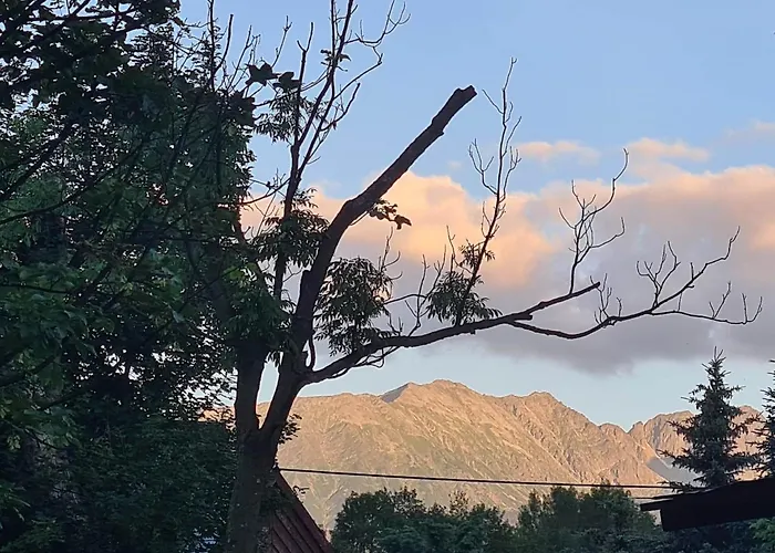 D.w Teresa * Zakopane