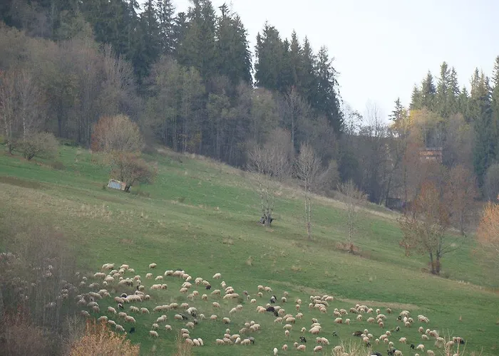 Сasa de vacaciones D.w Teresa *